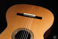 Danilo Bazzana - 2024 No. 67 64 cm