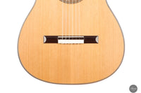 Danilo Bazzana - 2024 No. 67 64 cm