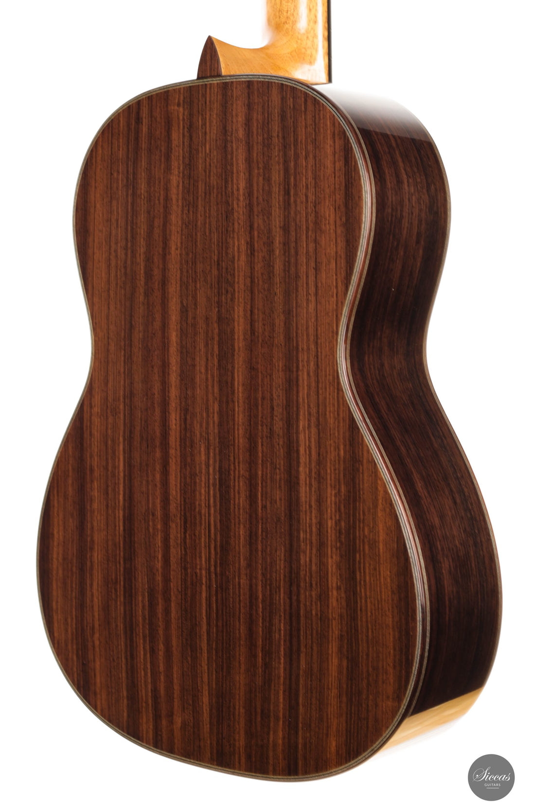 Danilo Bazzana - 2025 No. 69 - REG 2025 Limited Edition