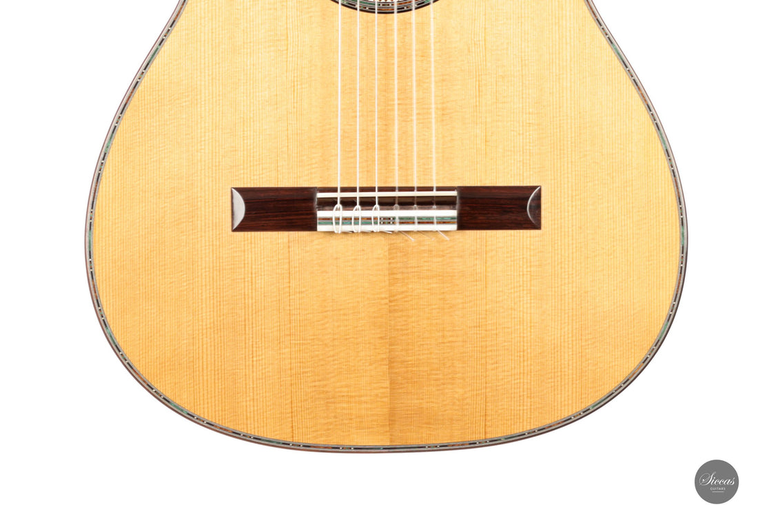 Danilo Bazzana - 2025 No. 69 - REG 2025 Limited Edition