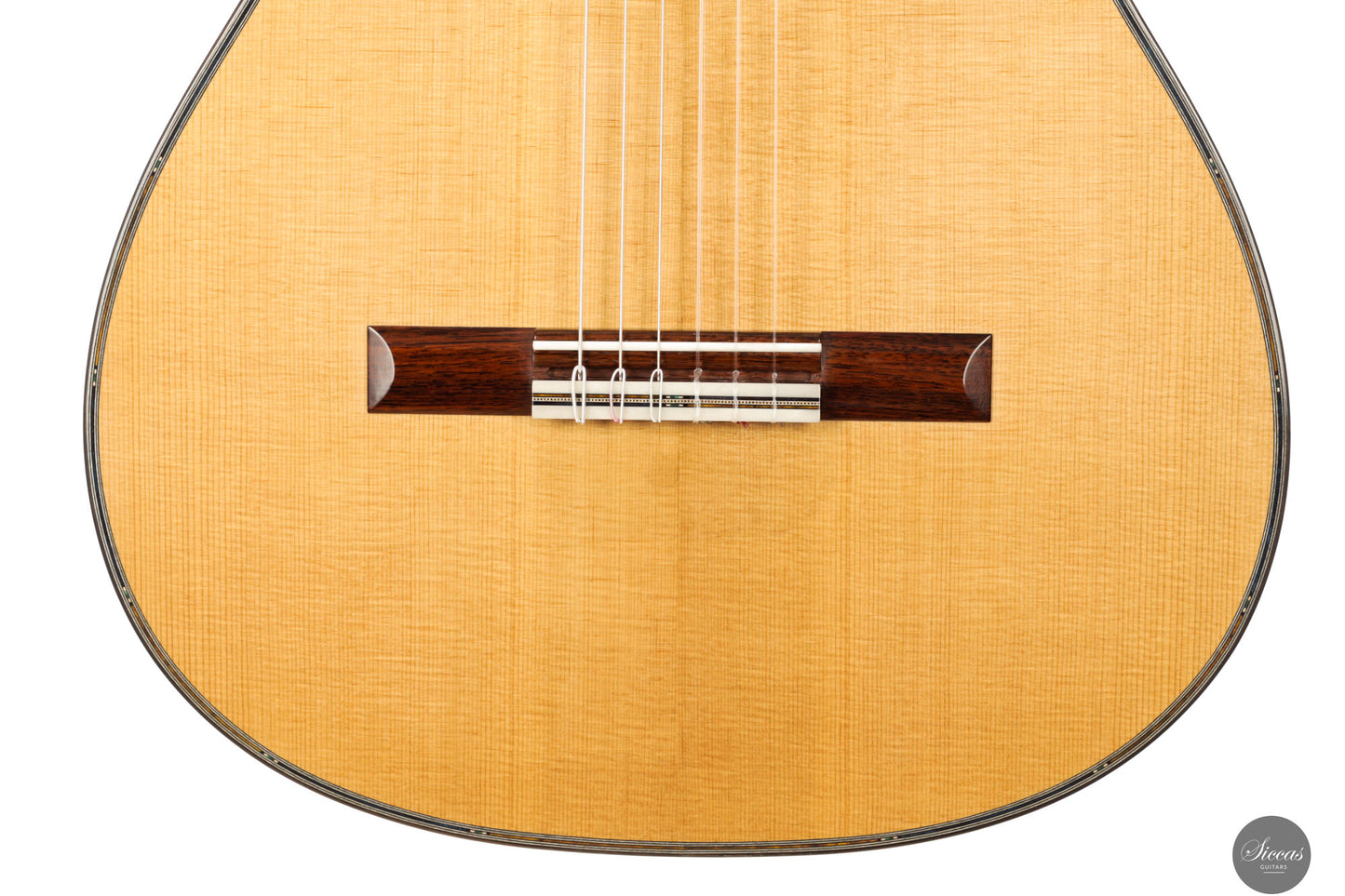 Danilo Bazzana - 2026 N.76 REG Limited Edition