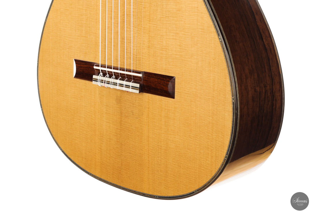 Danilo Bazzana - 2026 N.76 REG Limited Edition