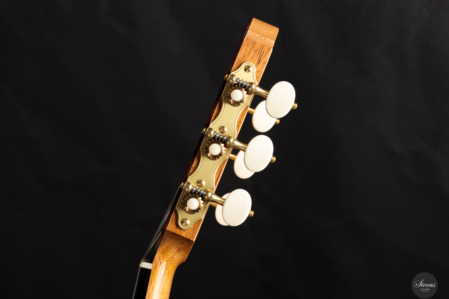 Danilo Bazzana - 2026 N.76 REG Limited Edition