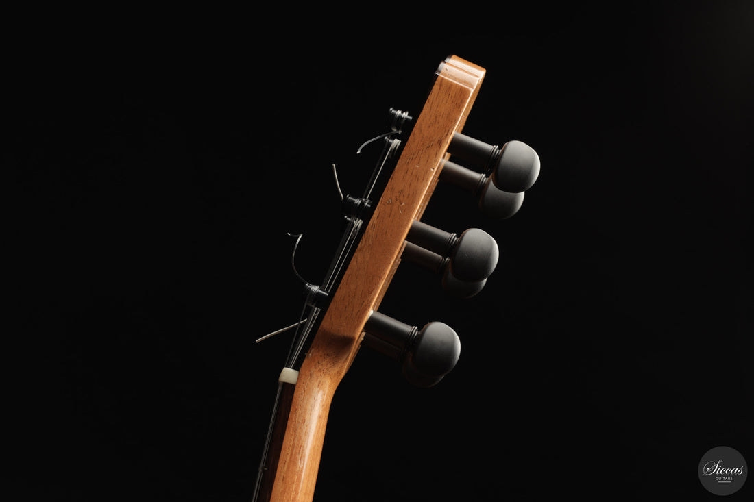 Dario Garcia - 2022 La Leona - Neck and tuner