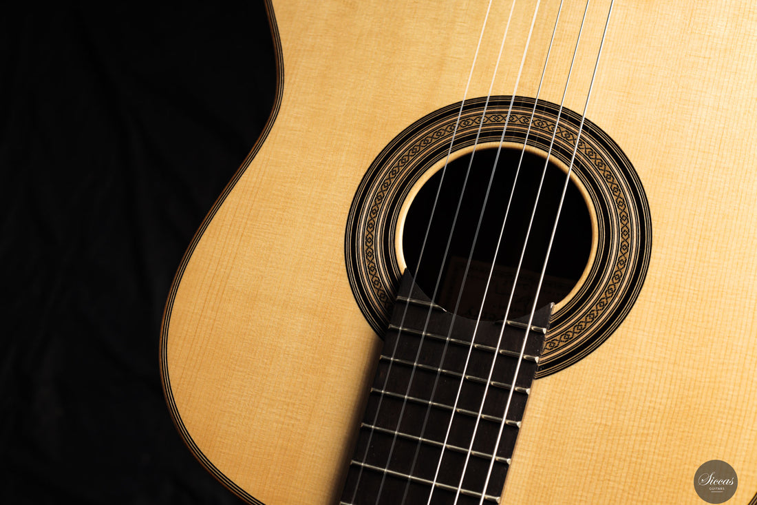 Daryl Perry - 2025 No. 264