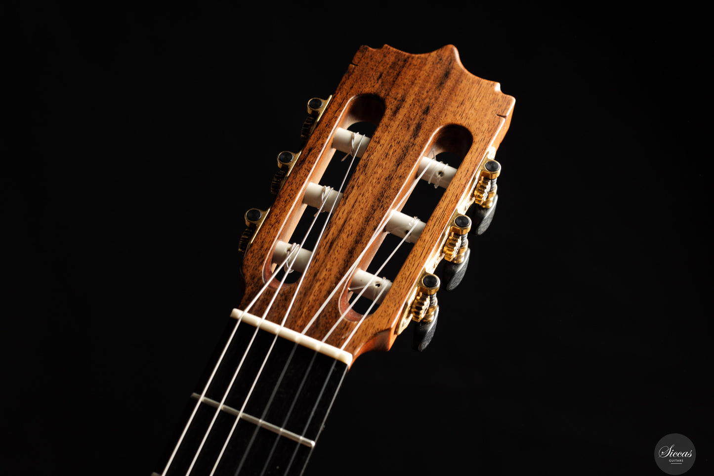 Diego Valencia - 2016 No.258 Lattice