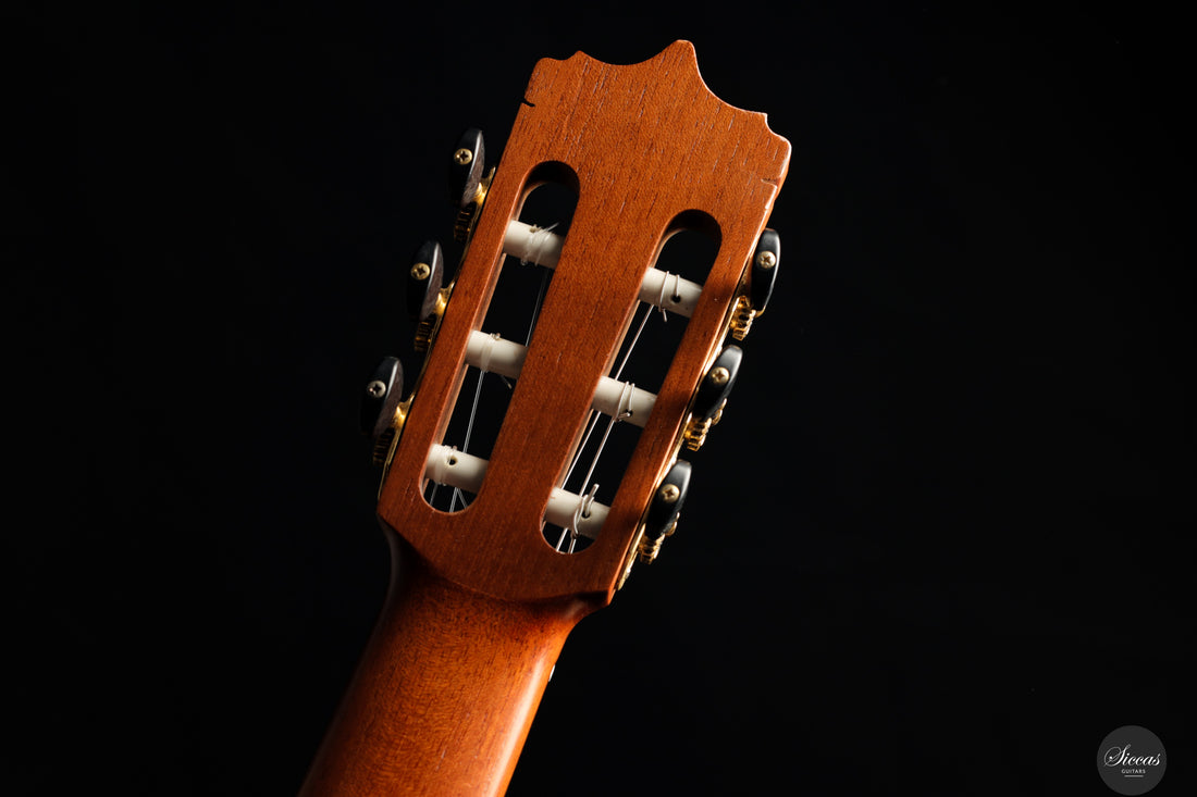 Diego Valencia - 2016 No.258 Lattice