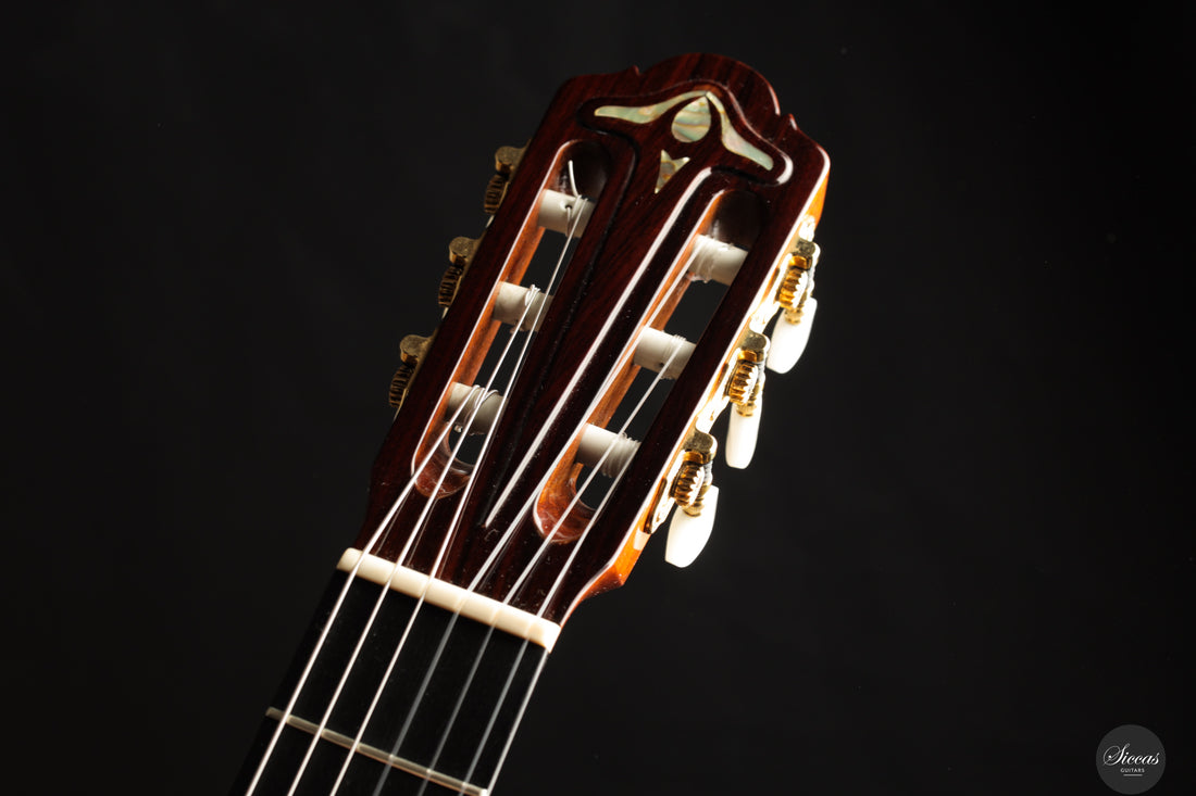 Dieter Hopf - Artist