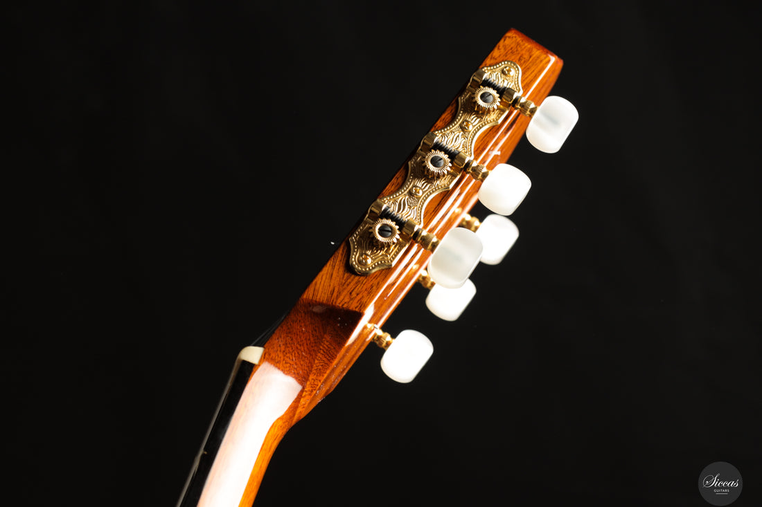 Dieter Hopf - Artist