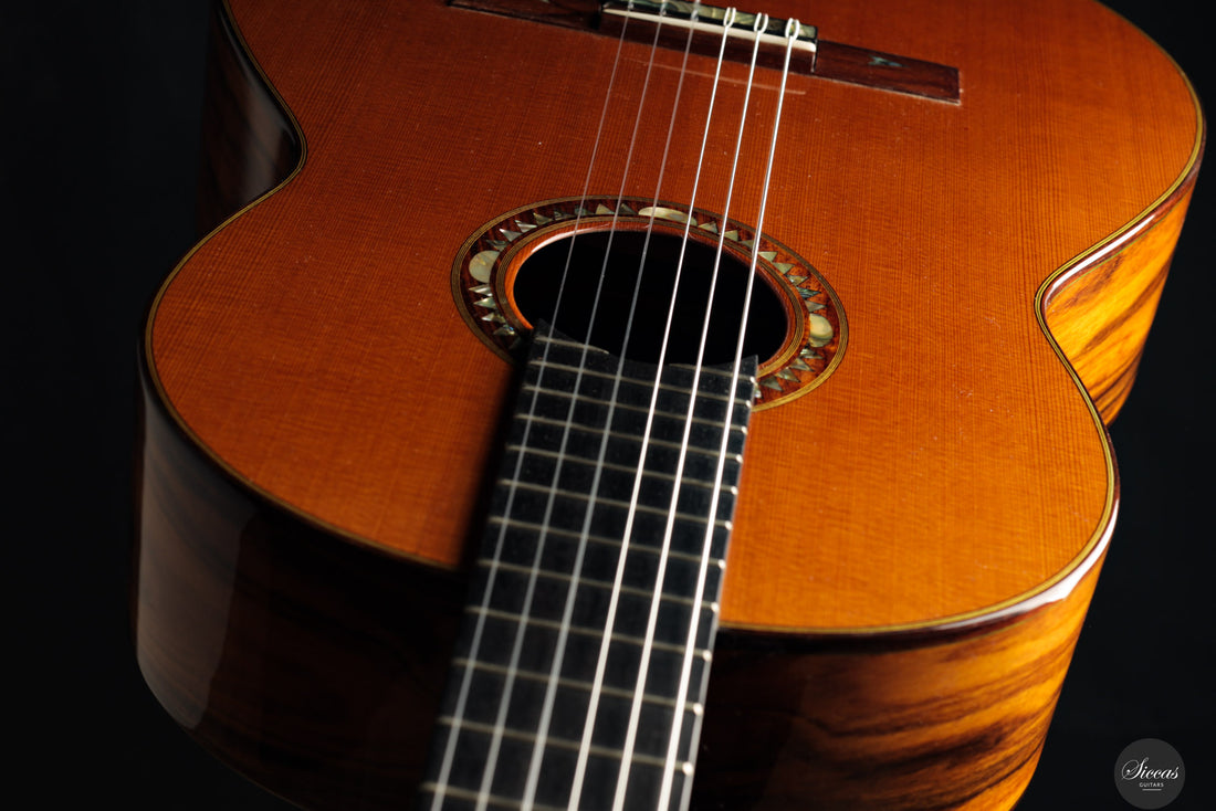 Dieter Hopf - Artist