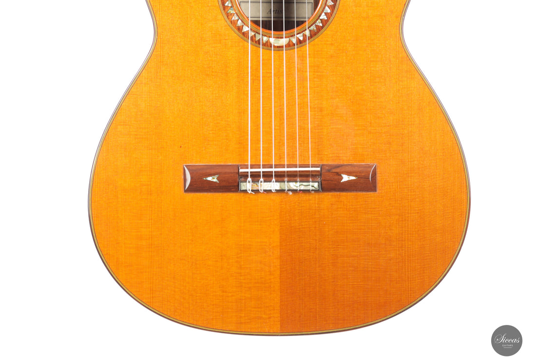 Dieter Hopf - Artist