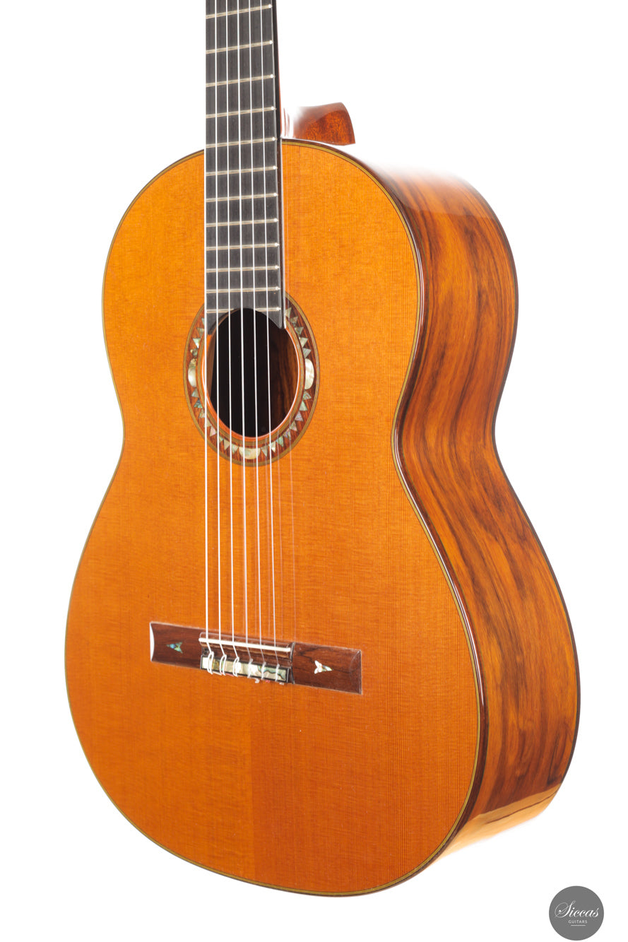 Dieter Hopf - Artist