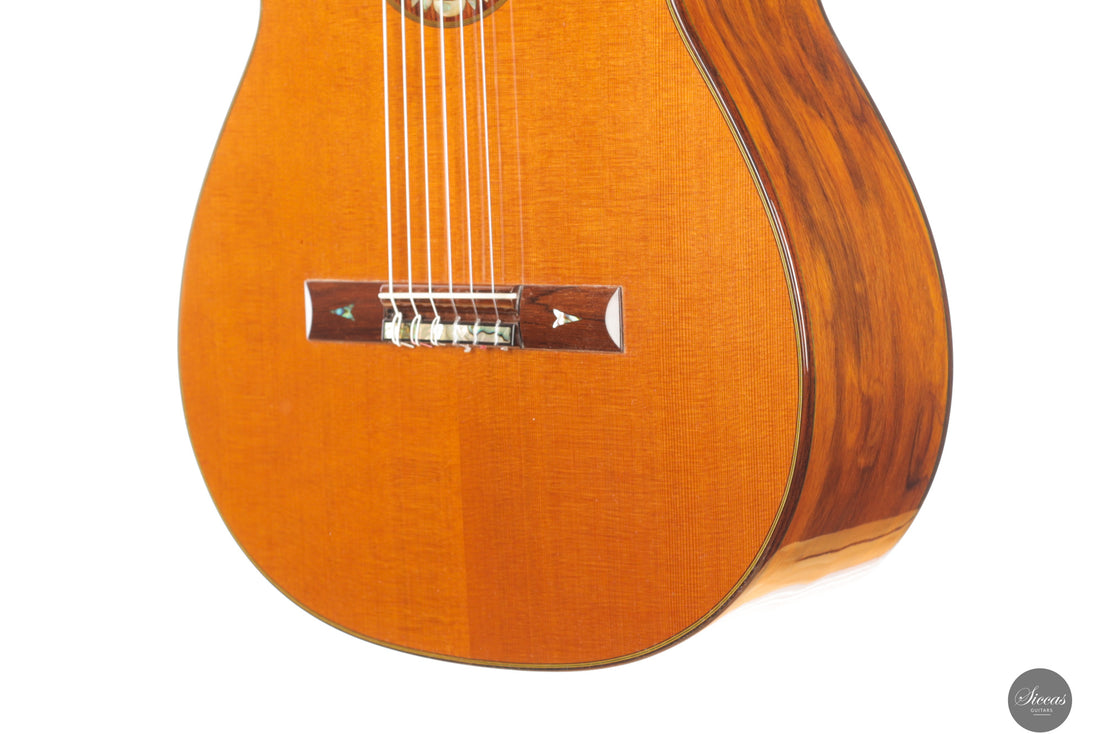 Dieter Hopf - Artist