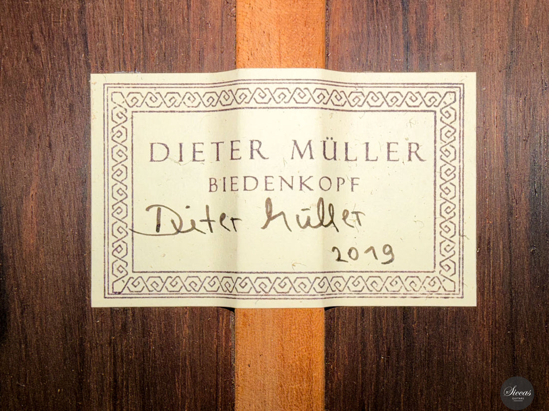 Dieter Müller - 2019 Doubletop 10 strings