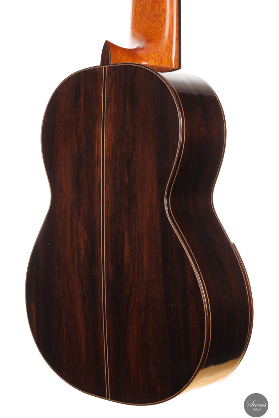 Dieter Müller - 2019 Doubletop 10 strings