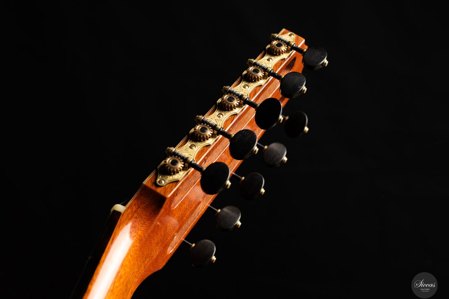 Dieter Müller - 2019 Doubletop 10 strings