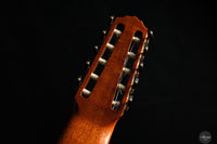 Dieter Müller - 2019 Doubletop 10 strings