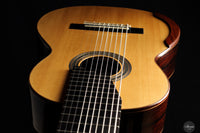 Dieter Müller - 2019 Doubletop 10 strings