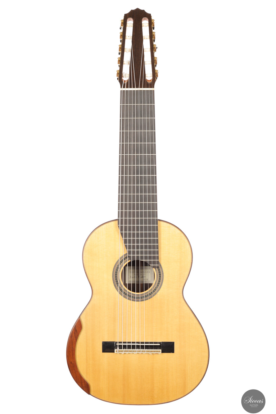 Dieter Müller - 2019 Doubletop 10 strings