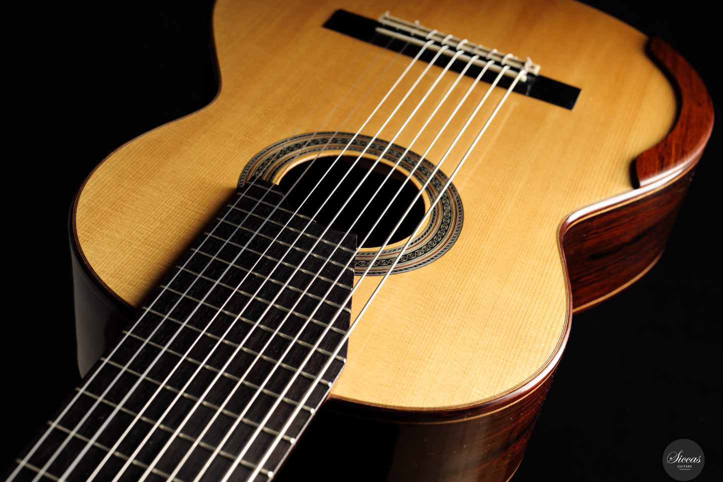 Dieter Müller - 2019 Doubletop 10 strings