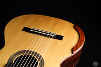 Dieter Müller - 2019 Doubletop 10 strings