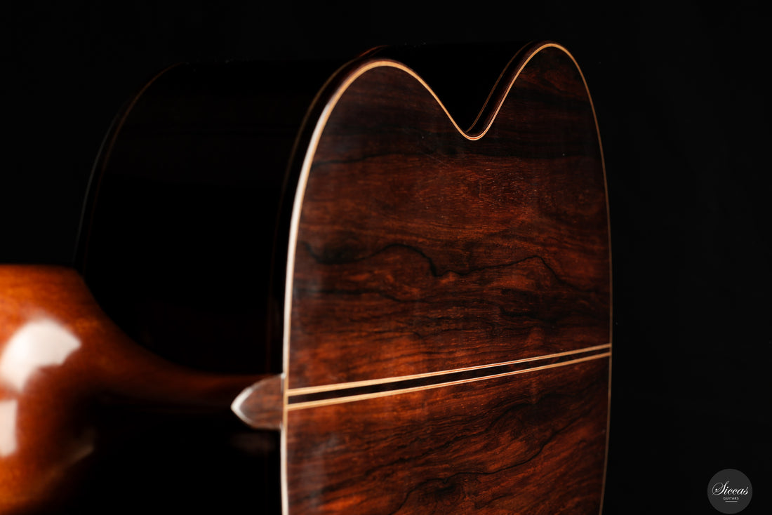 Dieter Müller - 2019 Doubletop 10 strings