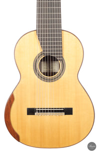 Dieter Müller - 2019 Doubletop 10 strings