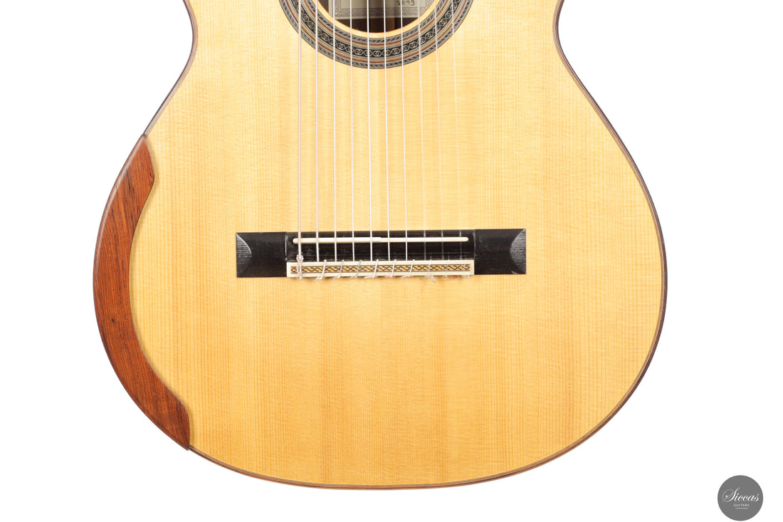 Dieter Müller - 2019 Doubletop 10 strings