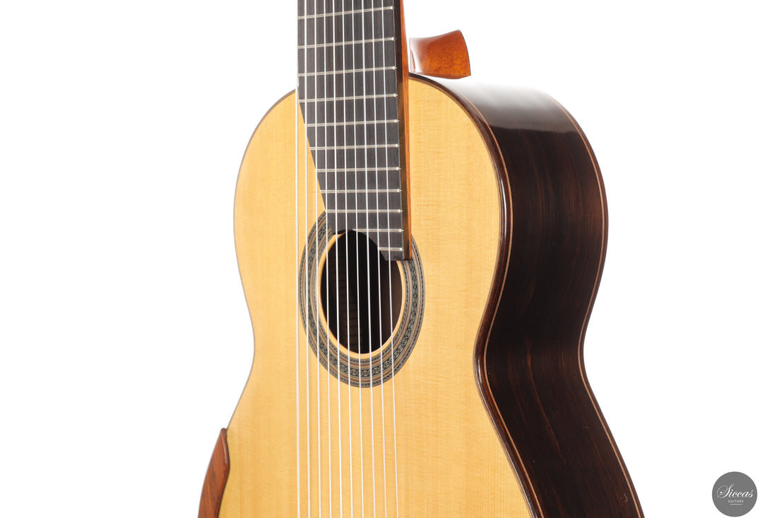 Dieter Müller - 2019 Doubletop 10 strings