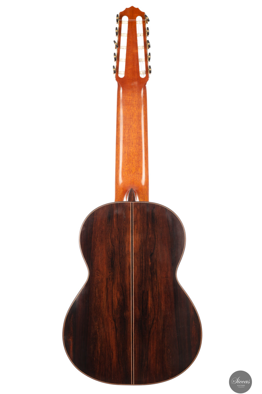 Dieter Müller - 2019 Doubletop 10 strings