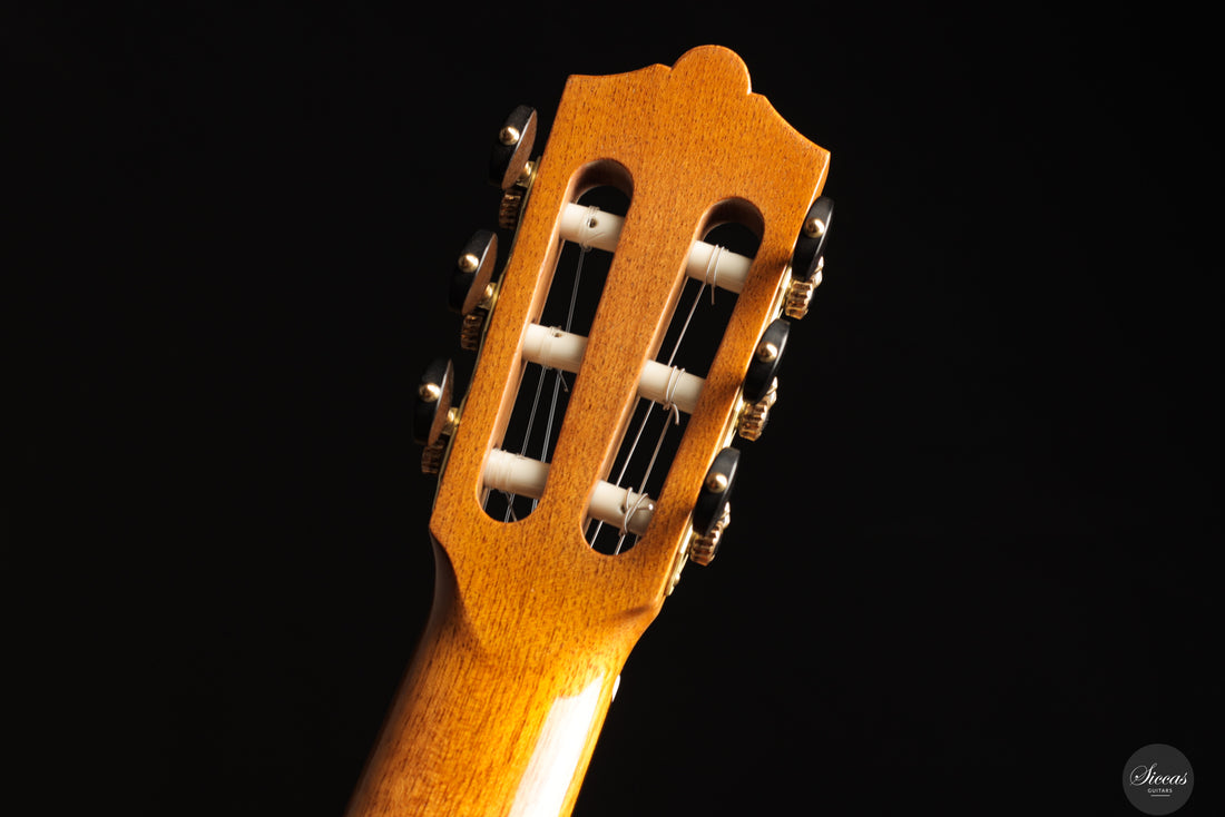 Dieter Müller - 2017