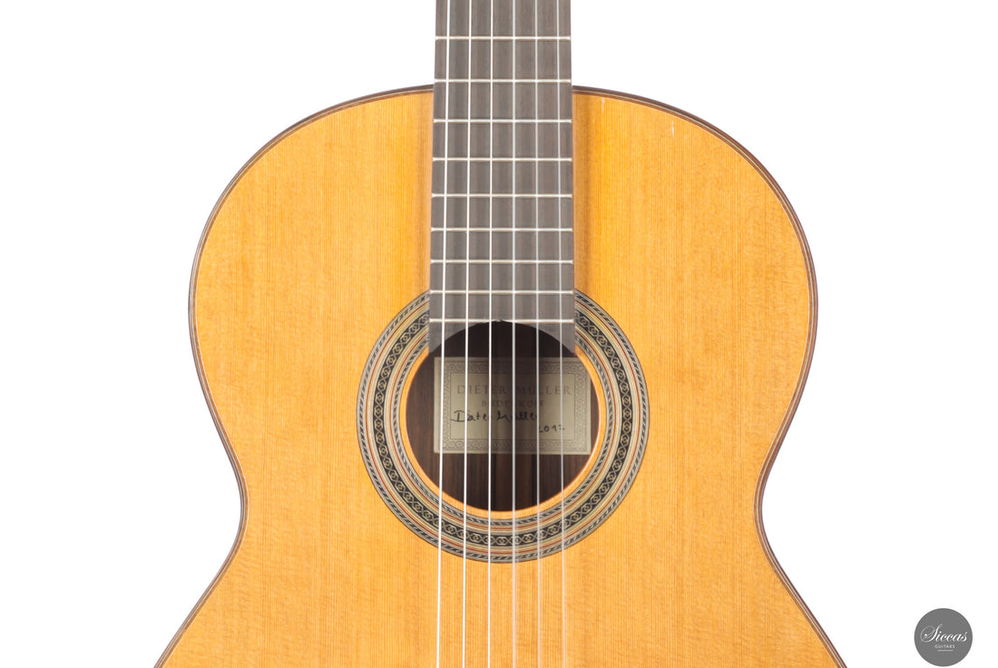 Dieter Müller - 2017 - Front view