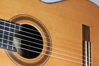 Andrés D. Marvi – 2009