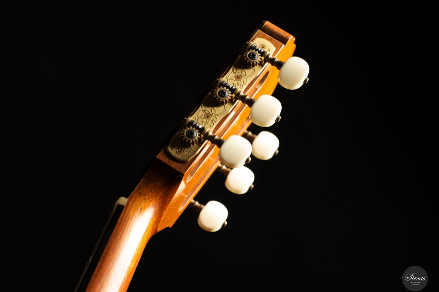 Ennio Giovanetti - 2015