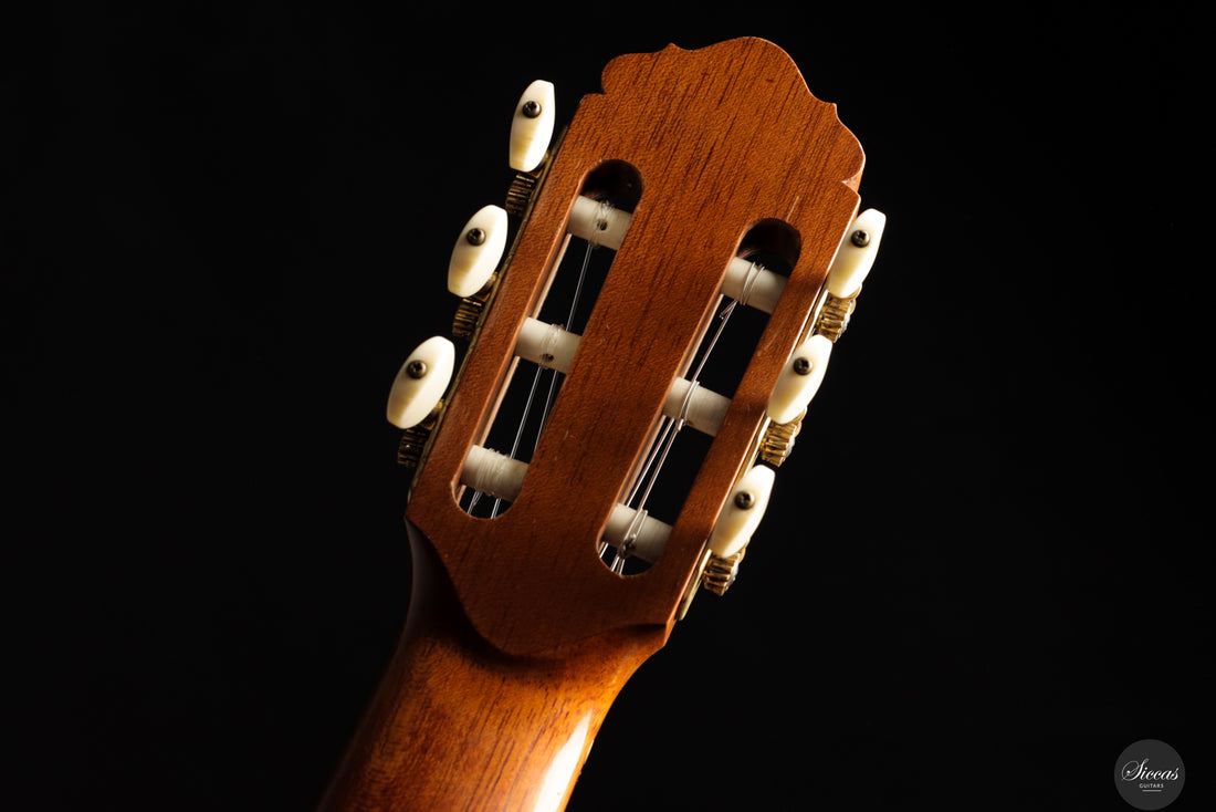 Ennio Giovanetti - 2015