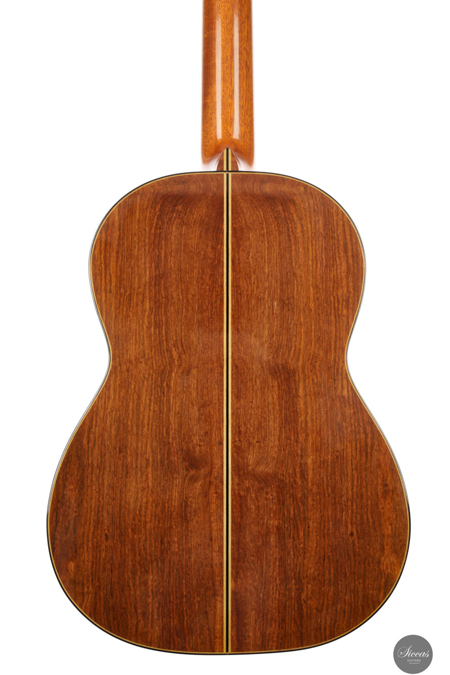 Fabio Zontini - 2023 REG Limited Edition