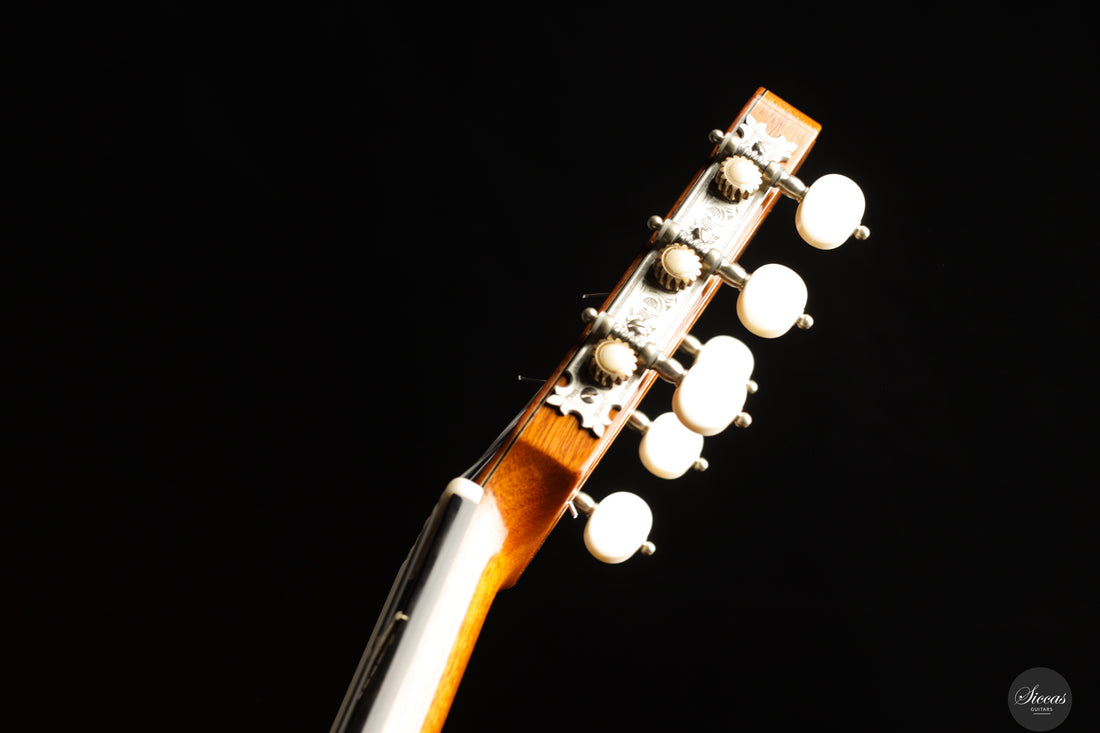 Fabio Zontini - 2023 REG Limited Edition