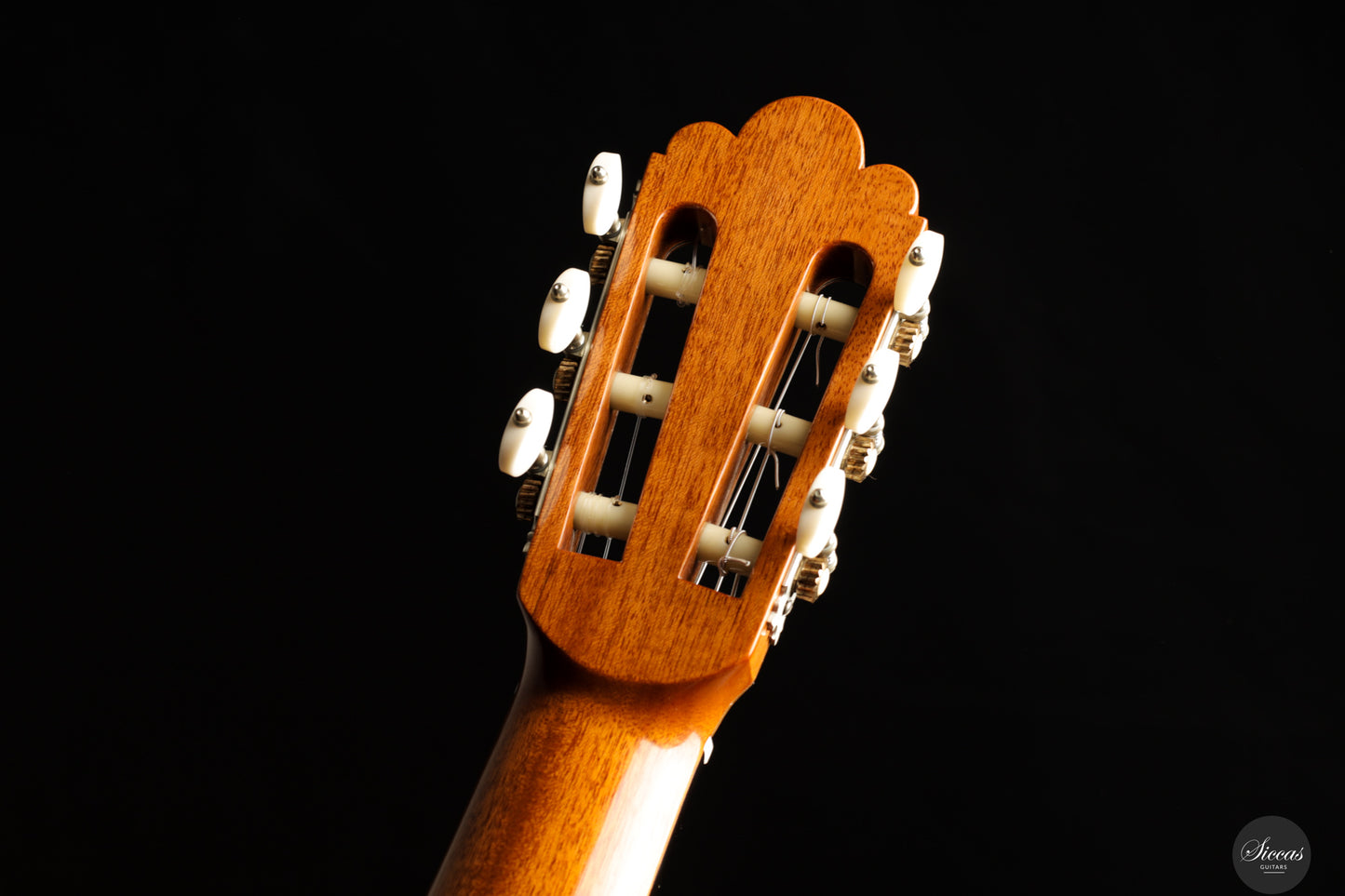 Fabio Zontini - 2023 REG Limited Edition