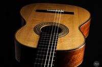 Fabio Zontini - 2023 REG Limited Edition