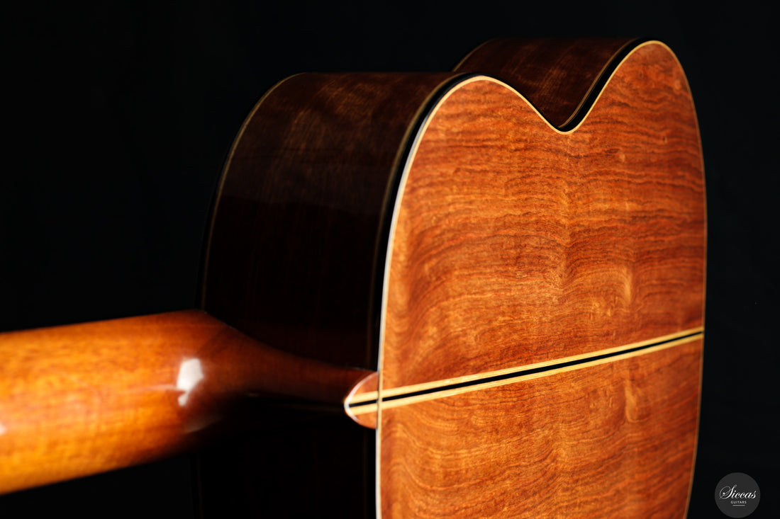 Fabio Zontini - 2023 REG Limited Edition