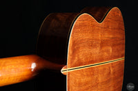 Fabio Zontini - 2023 REG Limited Edition