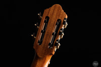 Felix Müller - 2024 No. 1 Doubletop Balsa