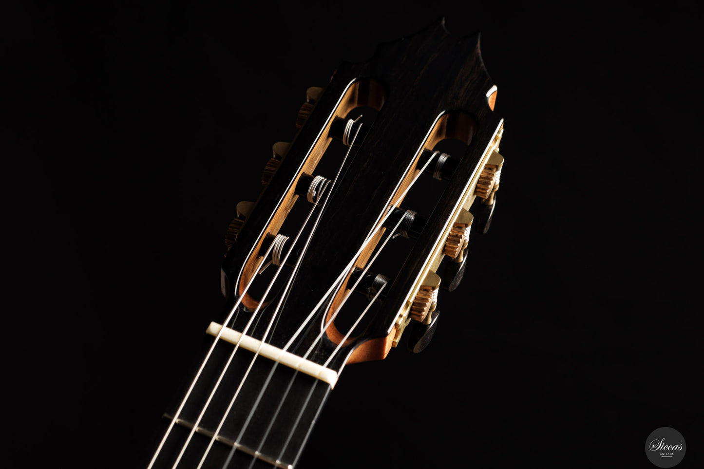 Fernando Mazza - 2025 - 64 cm