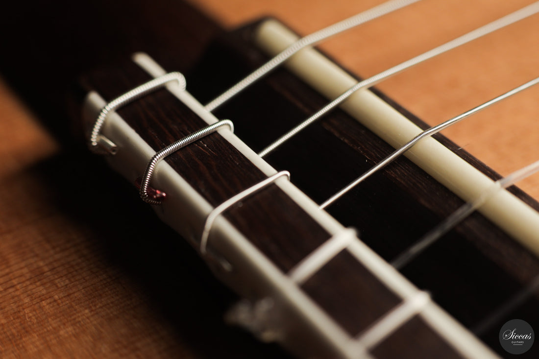Fernando Mazza - 2025 20th Anniversary Model Lattice