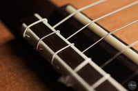 Fernando Mazza - 2025 20th Anniversary Model Lattice