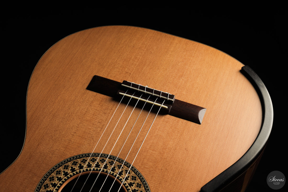 Fernando Mazza - 2025 20th Anniversary Model Lattice