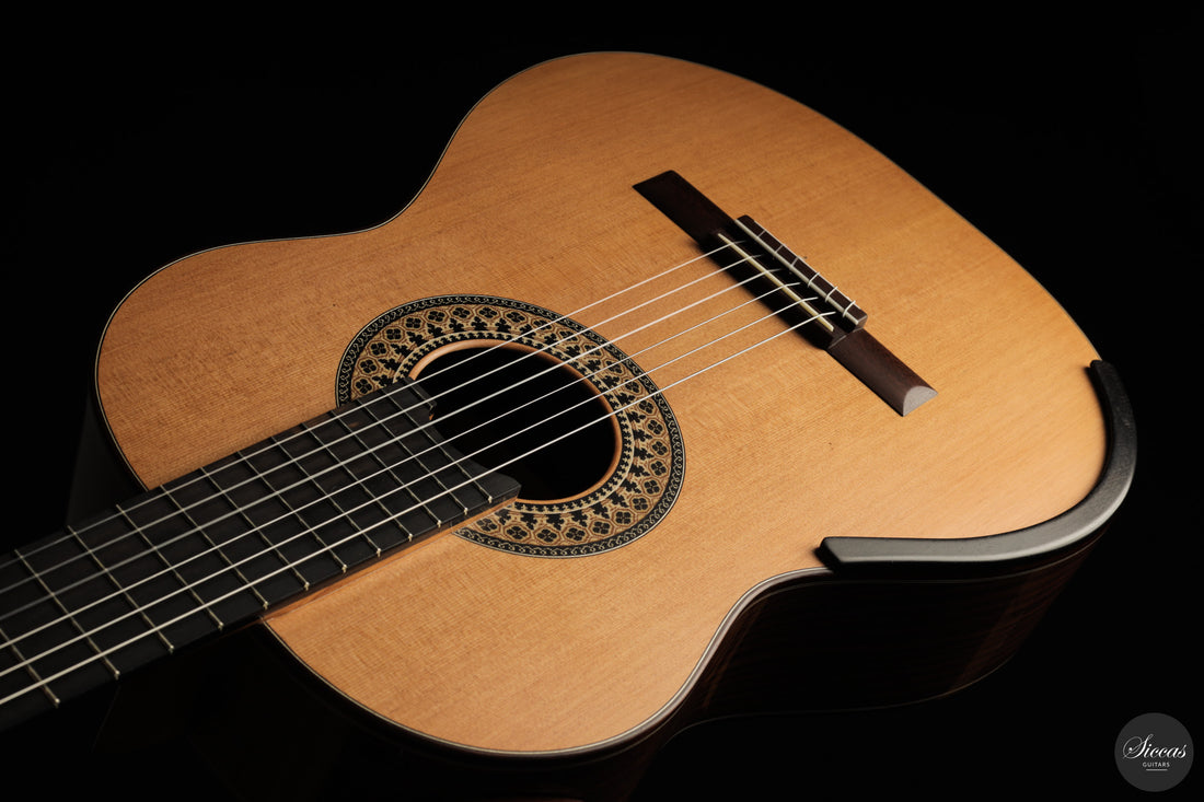 Fernando Mazza - 2025 20th Anniversary Model Lattice
