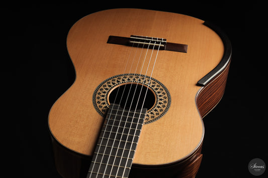 Fernando Mazza - 2025 20th Anniversary Model Lattice