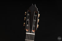 Fernando Mazza - 2025 20th Anniversary Model Lattice
