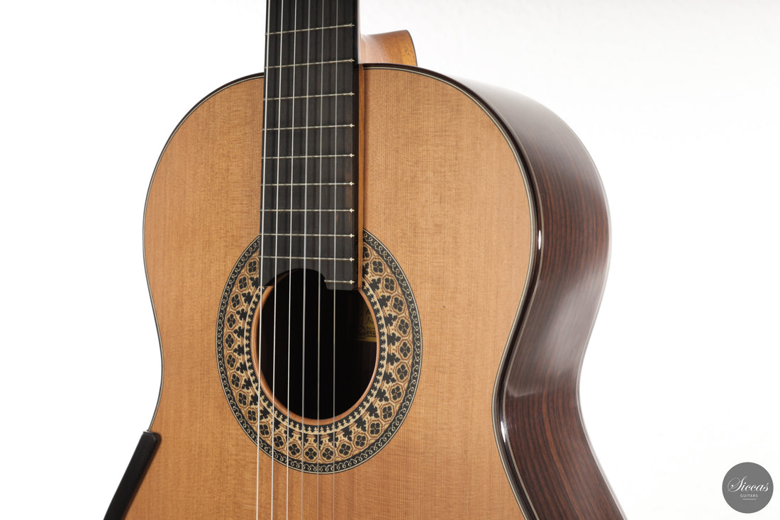 Fernando Mazza - 2025 20th Anniversary Model Lattice